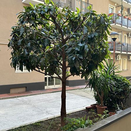 Nolo62, A Nifty Flat In Milan Lägenhet Exteriör bild